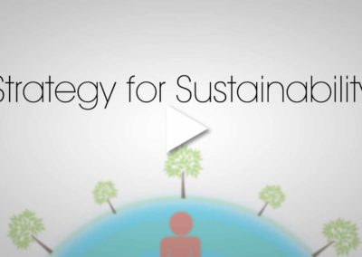 Sustainable Business Consulting and Education: Business Training